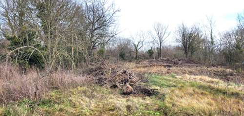 Soignolles-en-Brie Seine-et-Marne Grundstück Bild 7201281