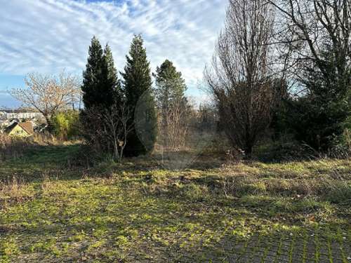 Soultz-Haut-Rhin Haut-Rhin Grundstück Bild 7185322