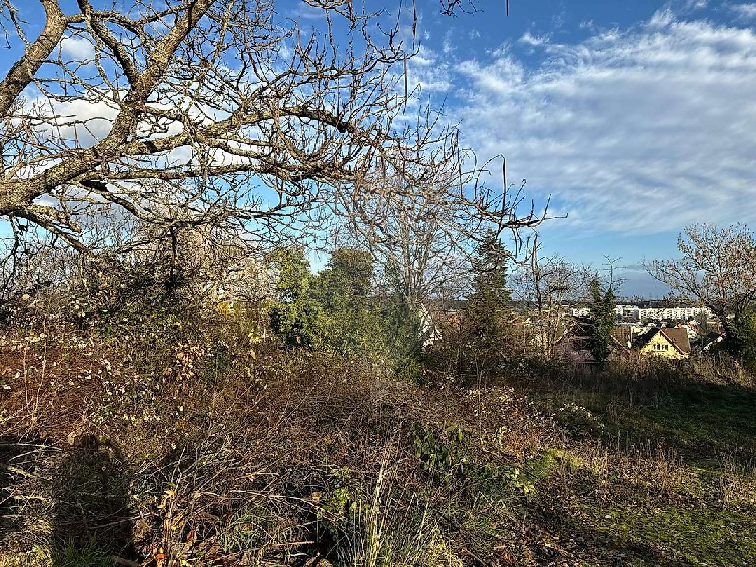  kaufen Grundstück Soultz-Haut-Rhin Haut-Rhin 2