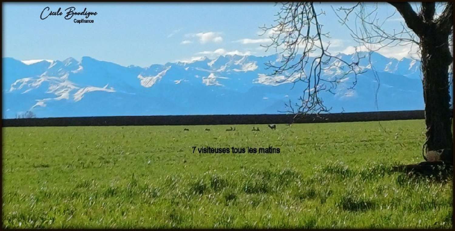 for sale terrain Soumoulou Pyrénées-Atlantiques 4