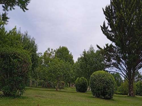 Sourzac Dordogne terrain foto 7189439