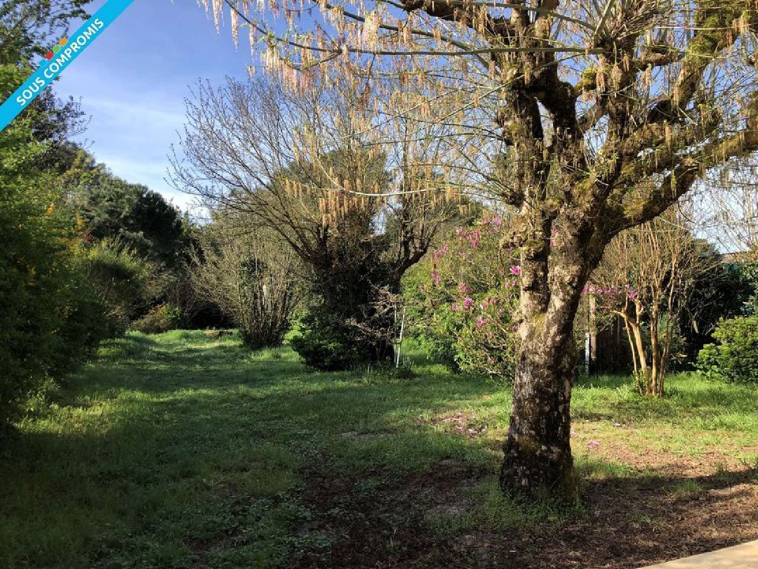  for sale terrain Talais Gironde 1