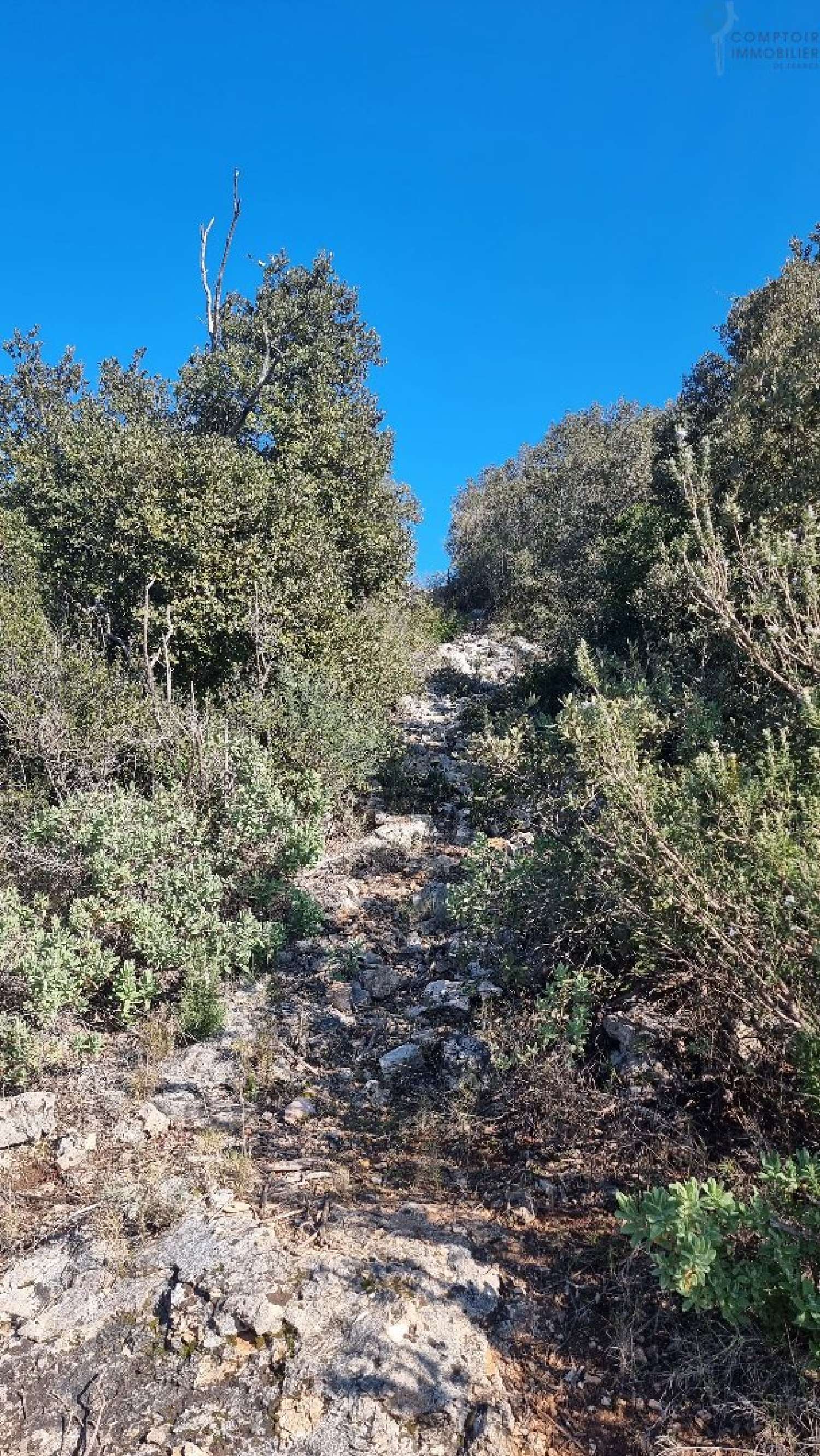  te koop terrein Taradeau Var 6