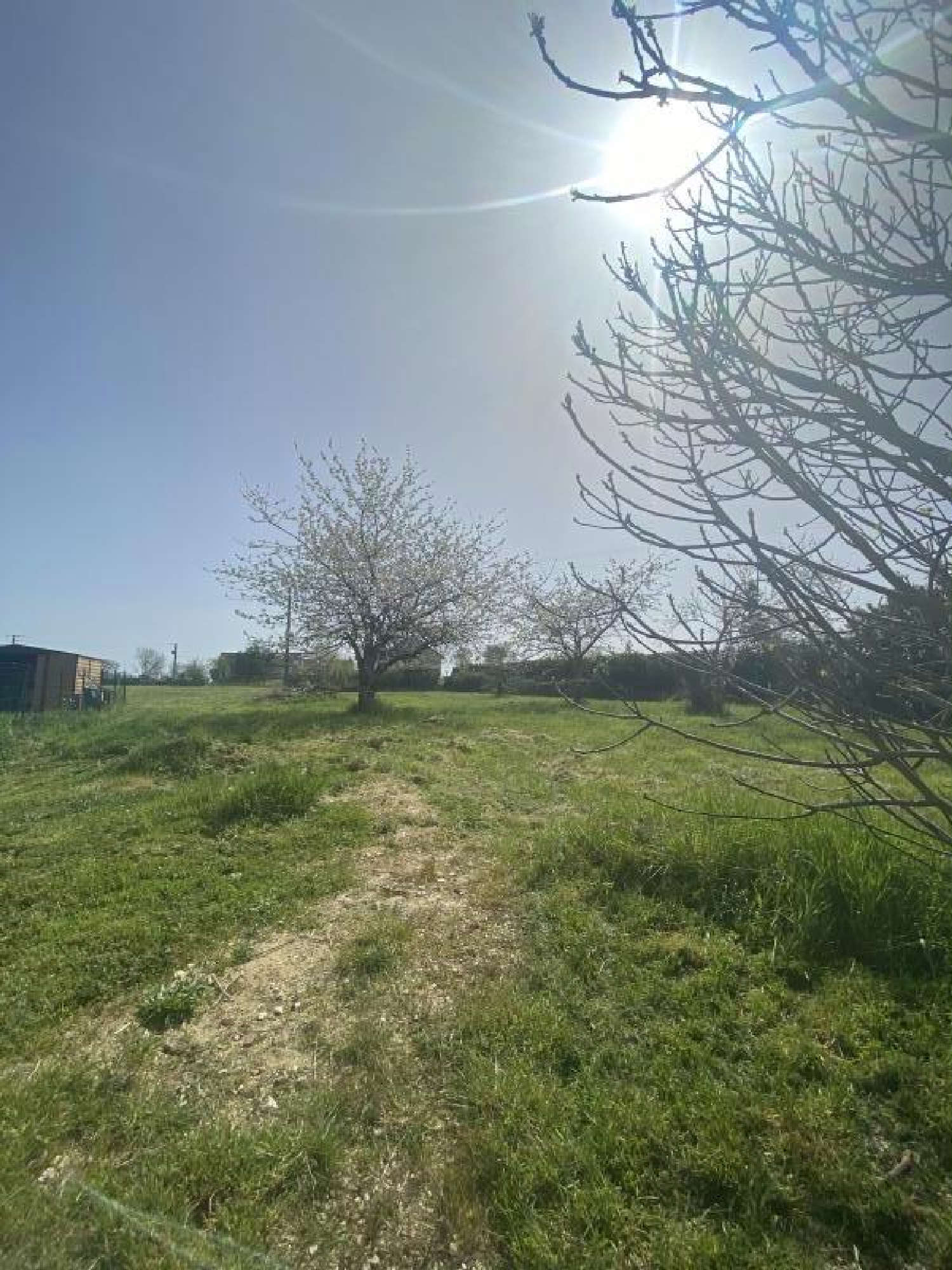  te koop terrein Targé Vienne 1