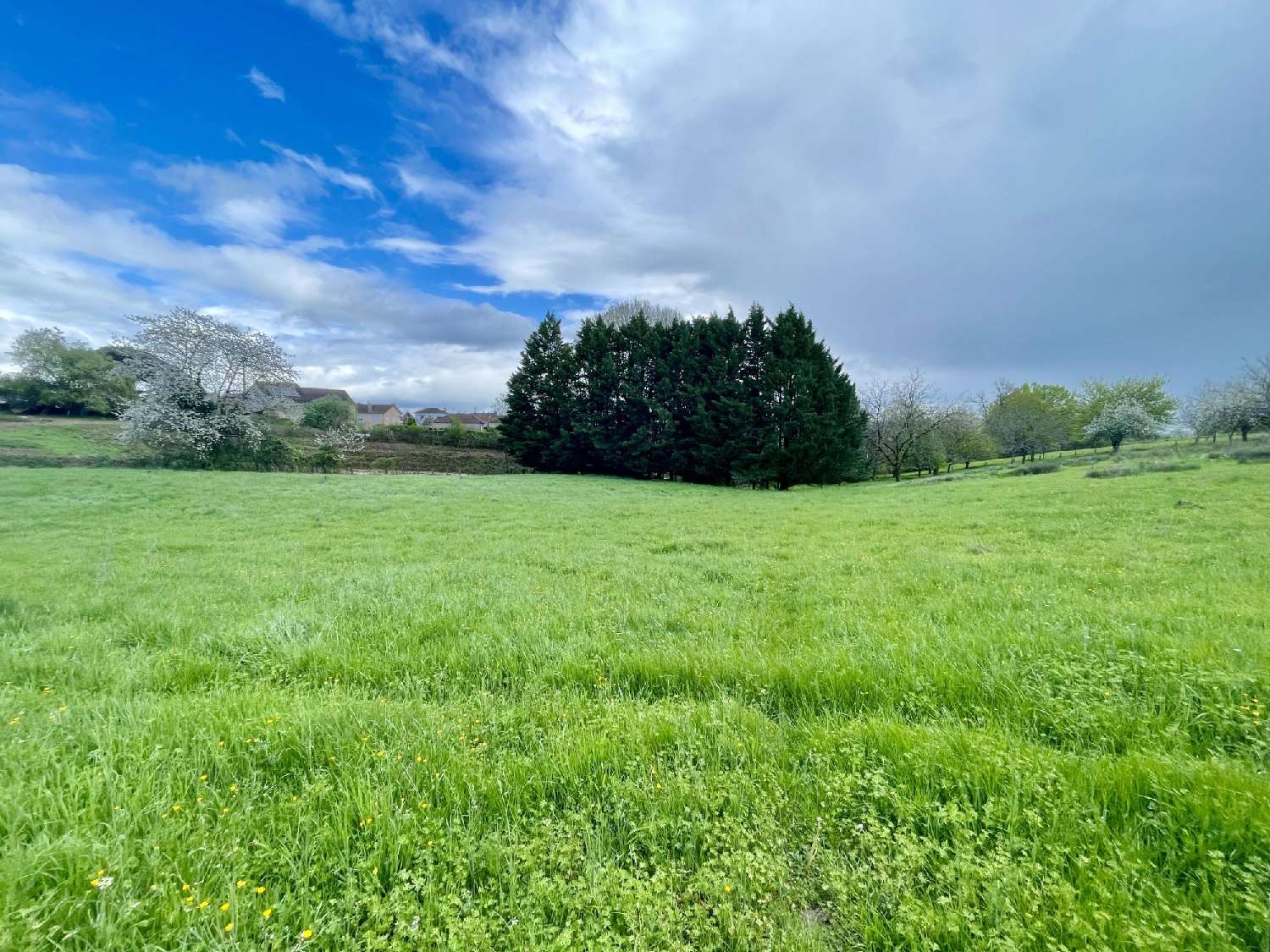 for sale terrain Thiviers Dordogne 2