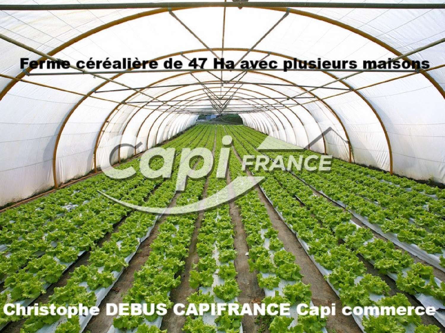  kaufen Grundstück Thuret Puy-de-Dôme 3