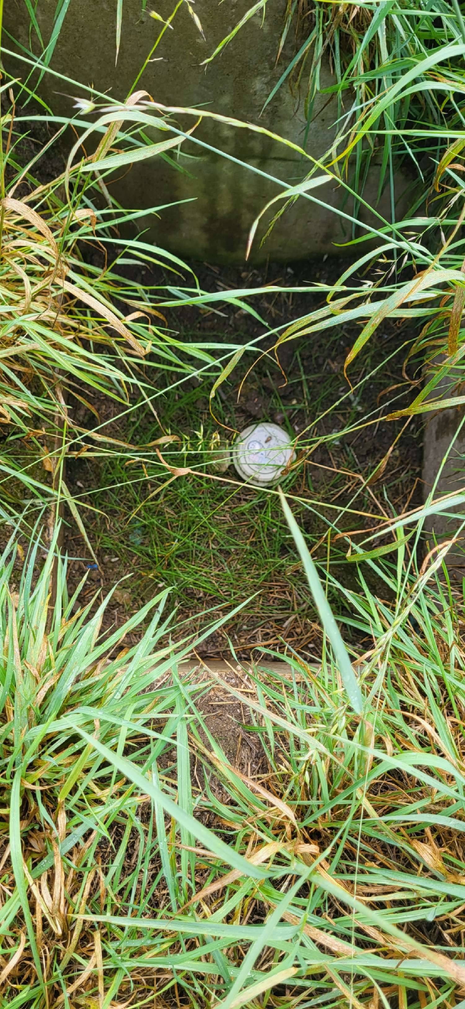  à vendre terrain Torcy-le-Petit Seine-Maritime 5