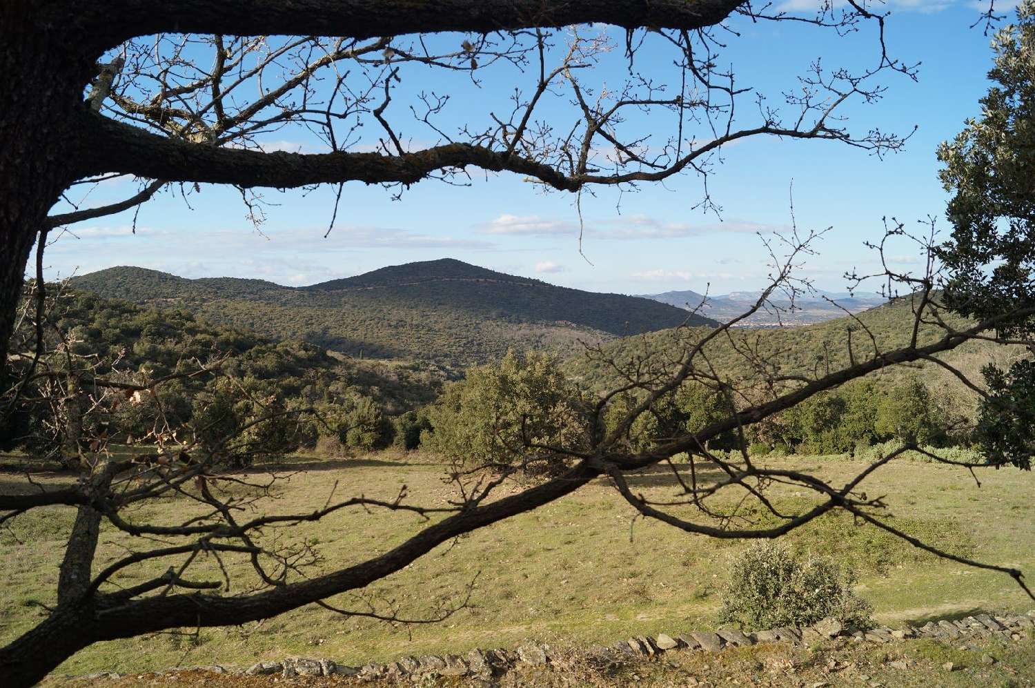 te koop terrein Tordères Pyrénées-Orientales 1
