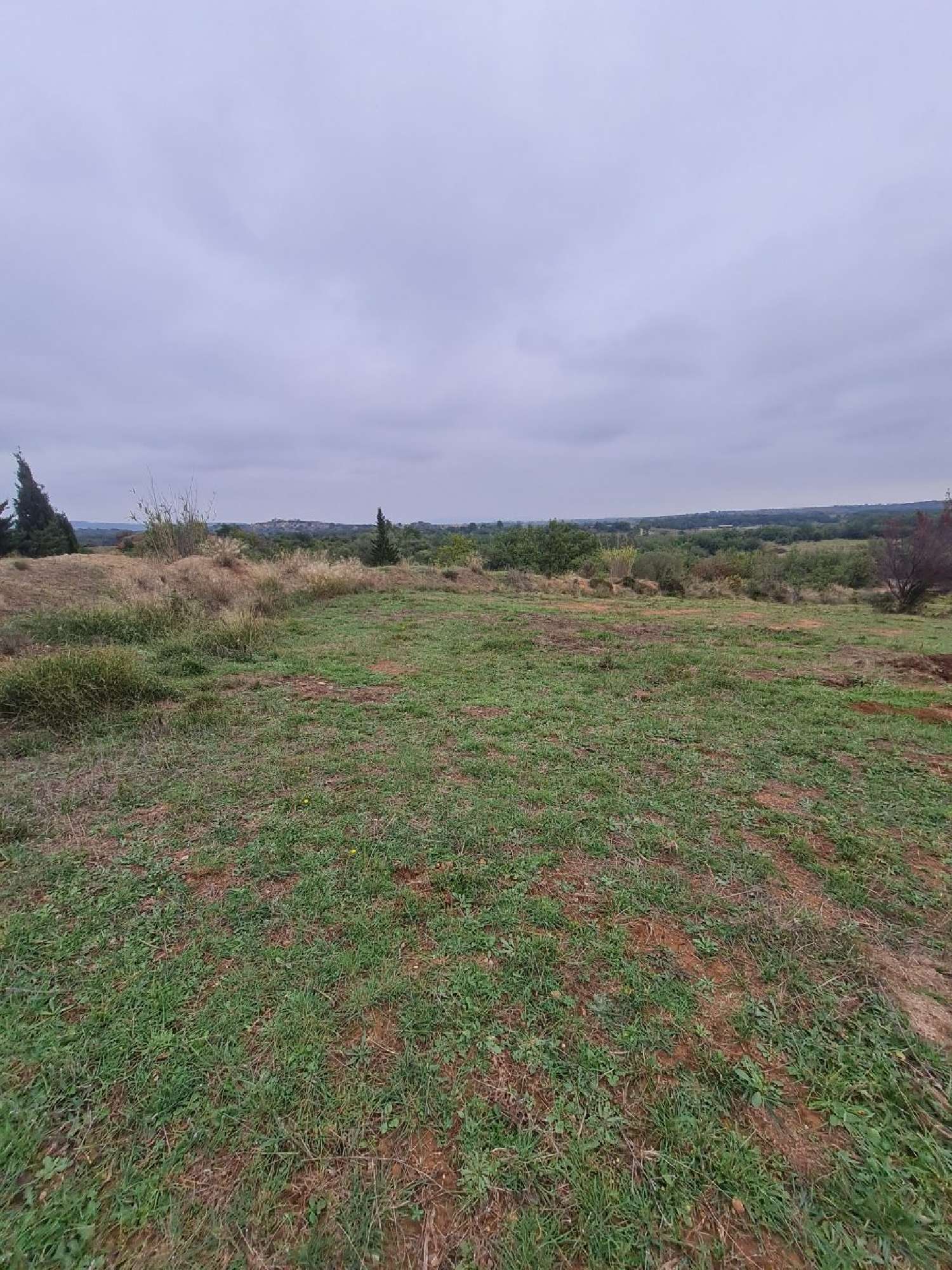 te koop terrein Tordères Pyrénées-Orientales 2