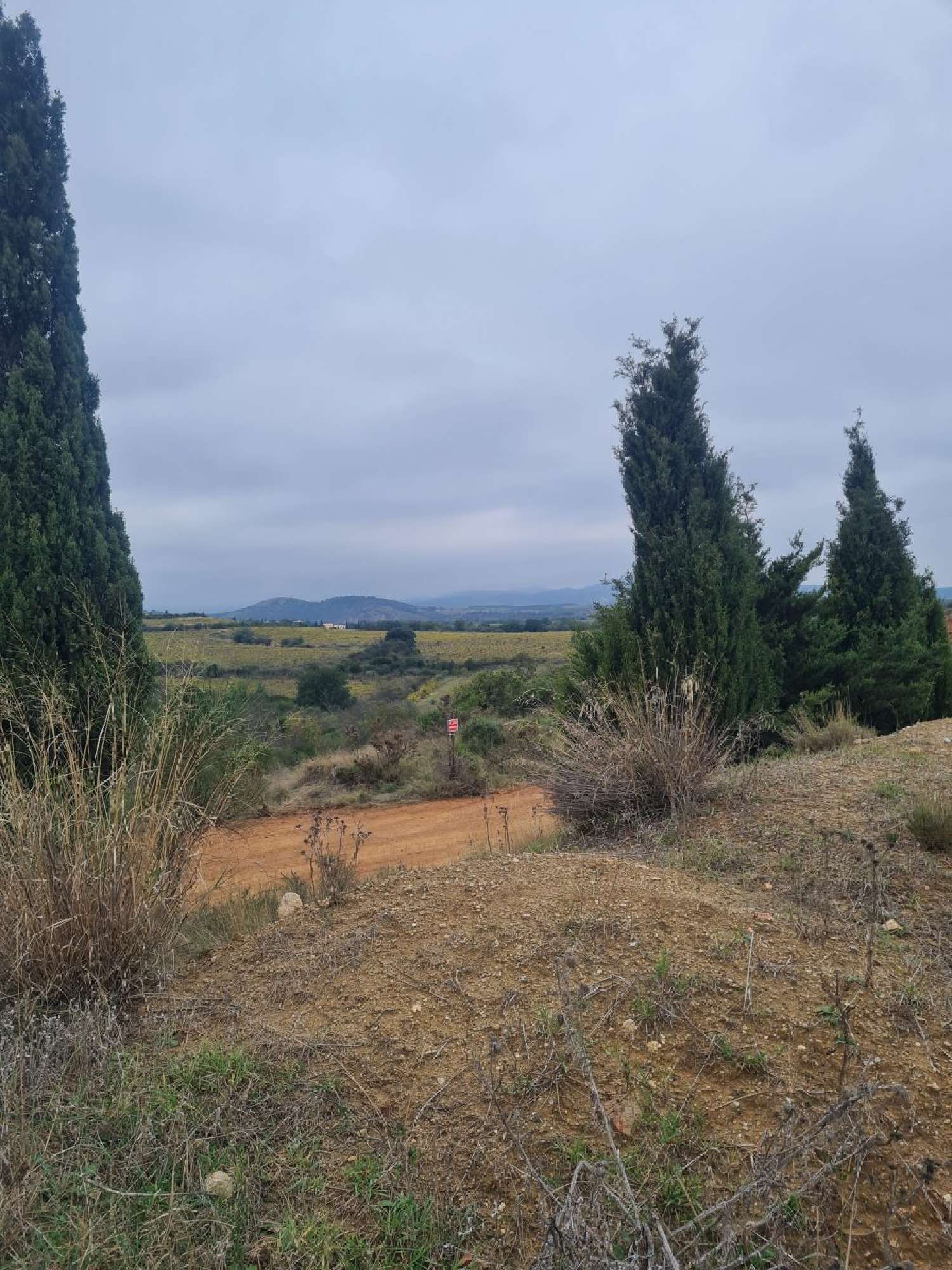 te koop terrein Tordères Pyrénées-Orientales 3
