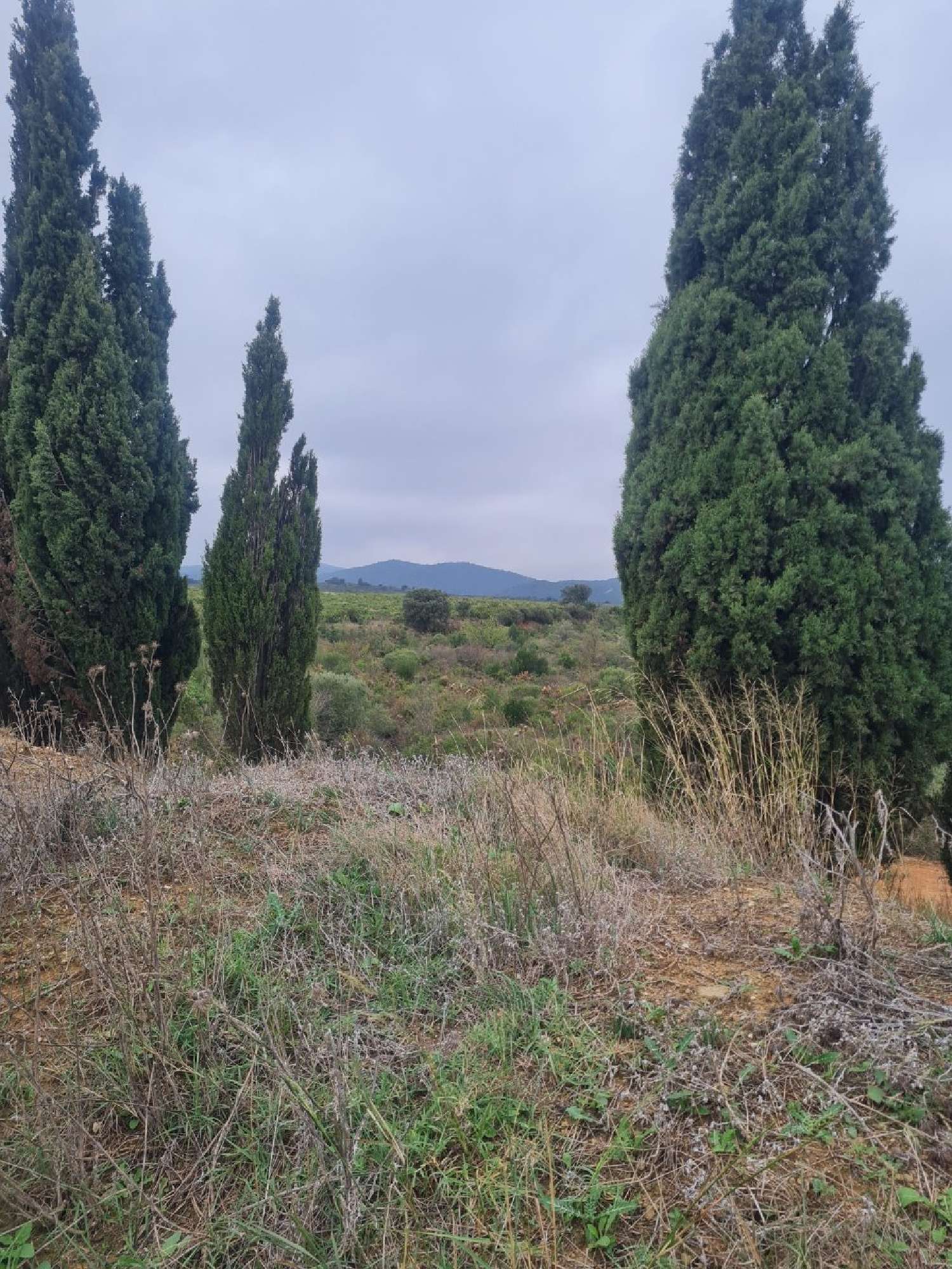 te koop terrein Tordères Pyrénées-Orientales 4