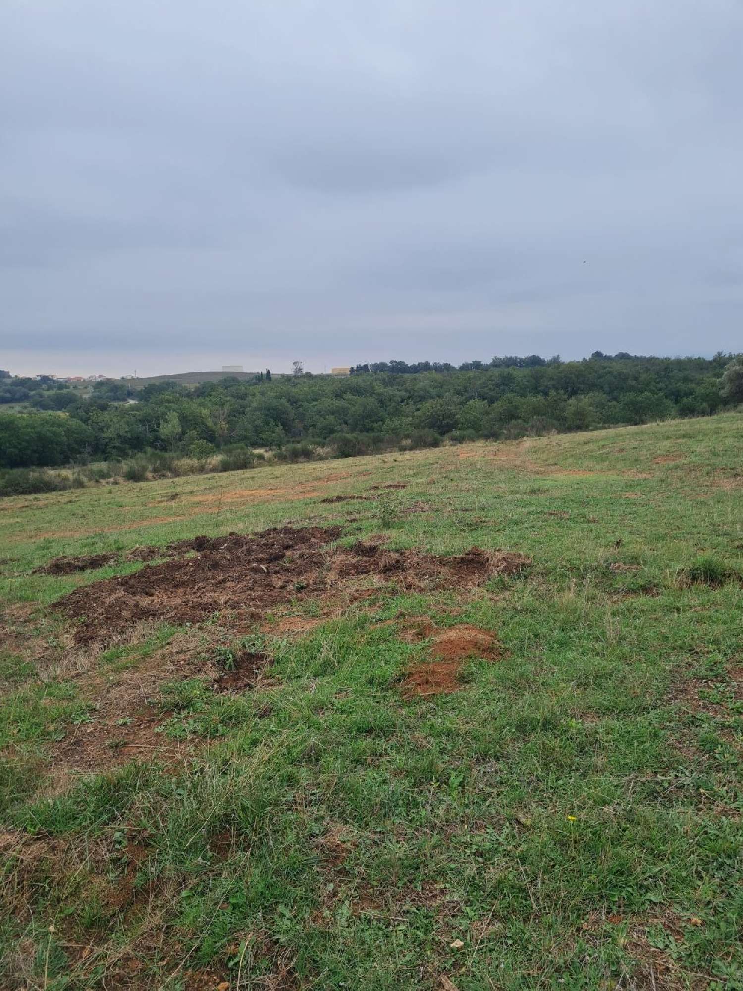 te koop terrein Tordères Pyrénées-Orientales 5