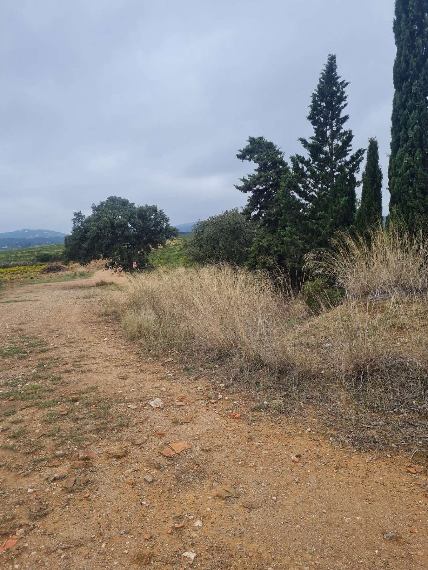 te koop terrein Tordères Pyrénées-Orientales 6
