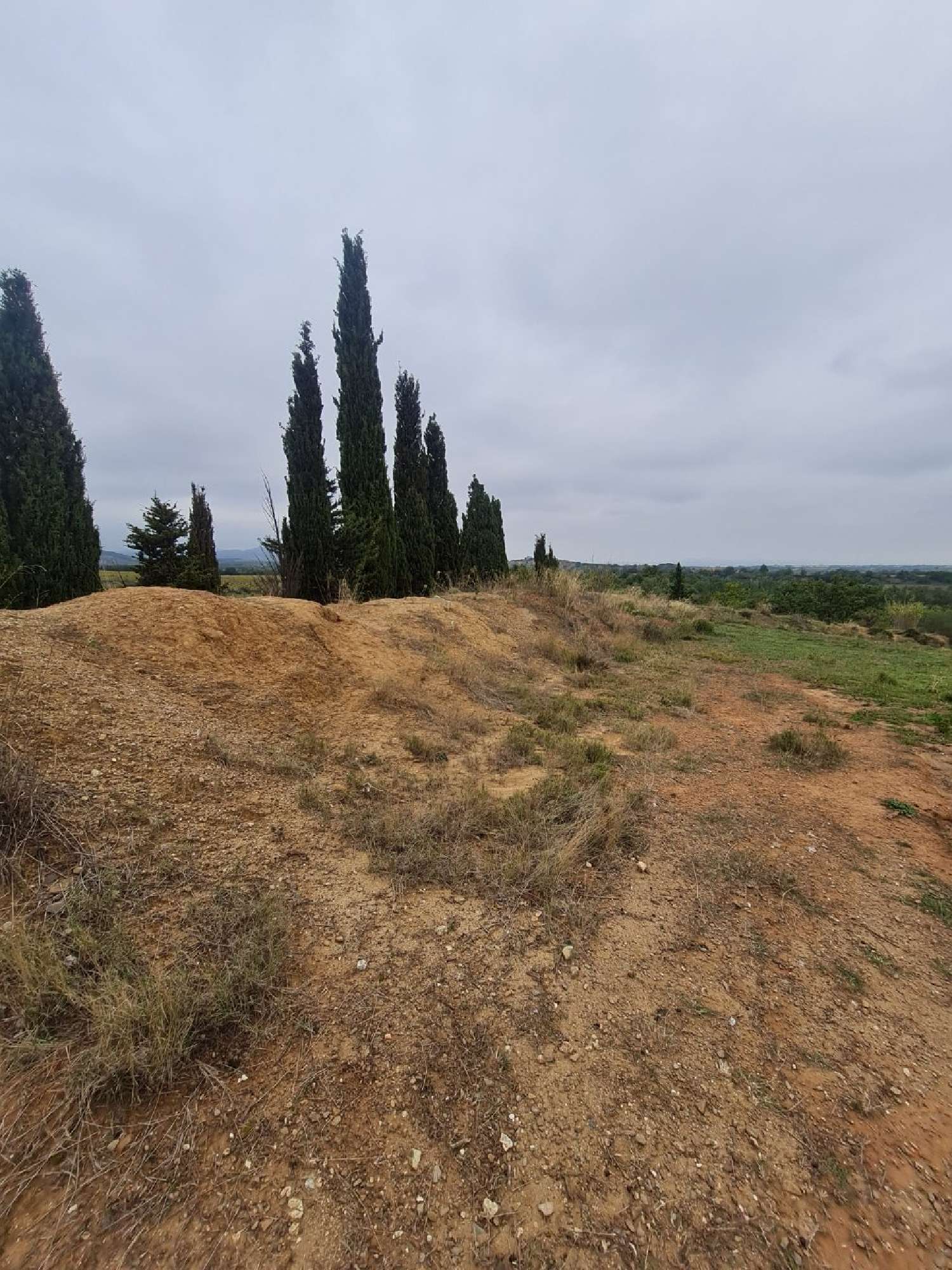 te koop terrein Tordères Pyrénées-Orientales 7
