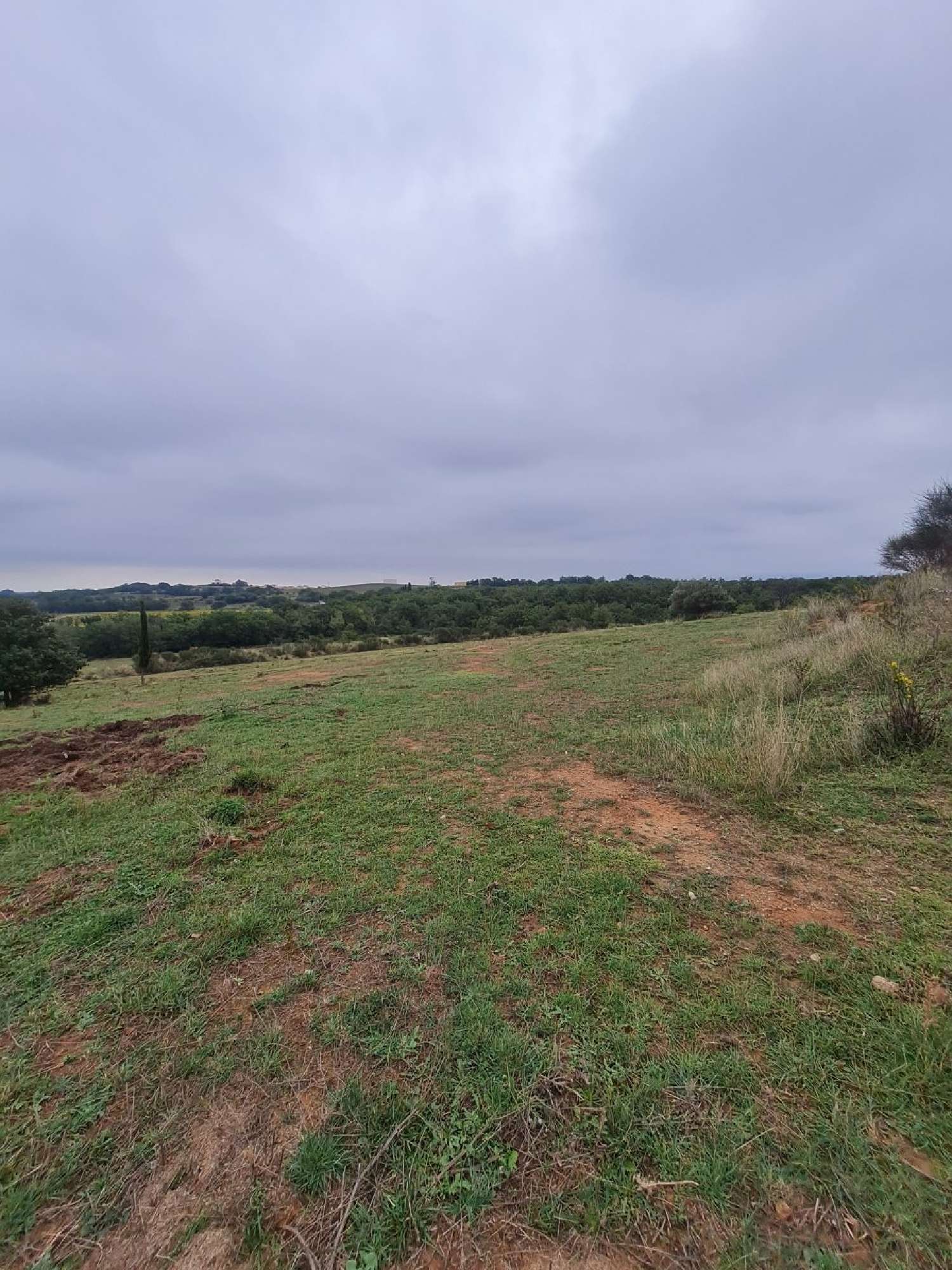 te koop terrein Tordères Pyrénées-Orientales 8
