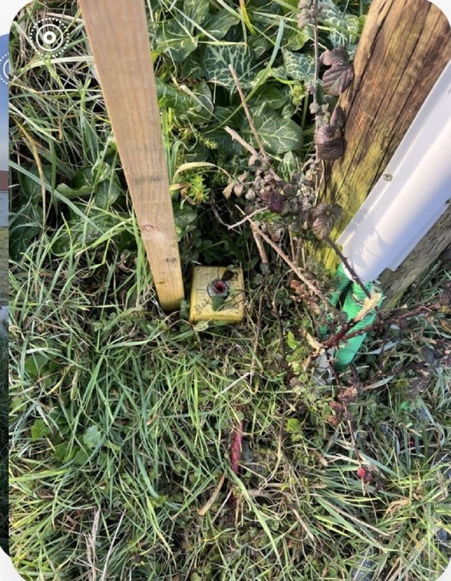 te koop terrein Tostat Hautes-Pyrénées 3