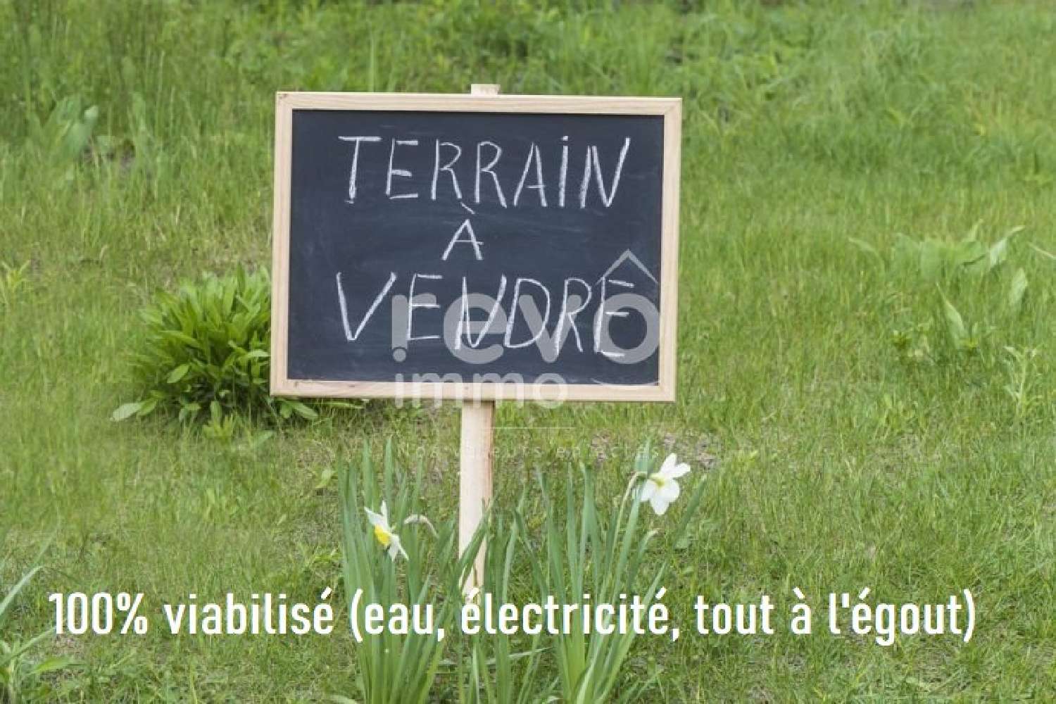 for sale terrain Touvois Loire-Atlantique 3