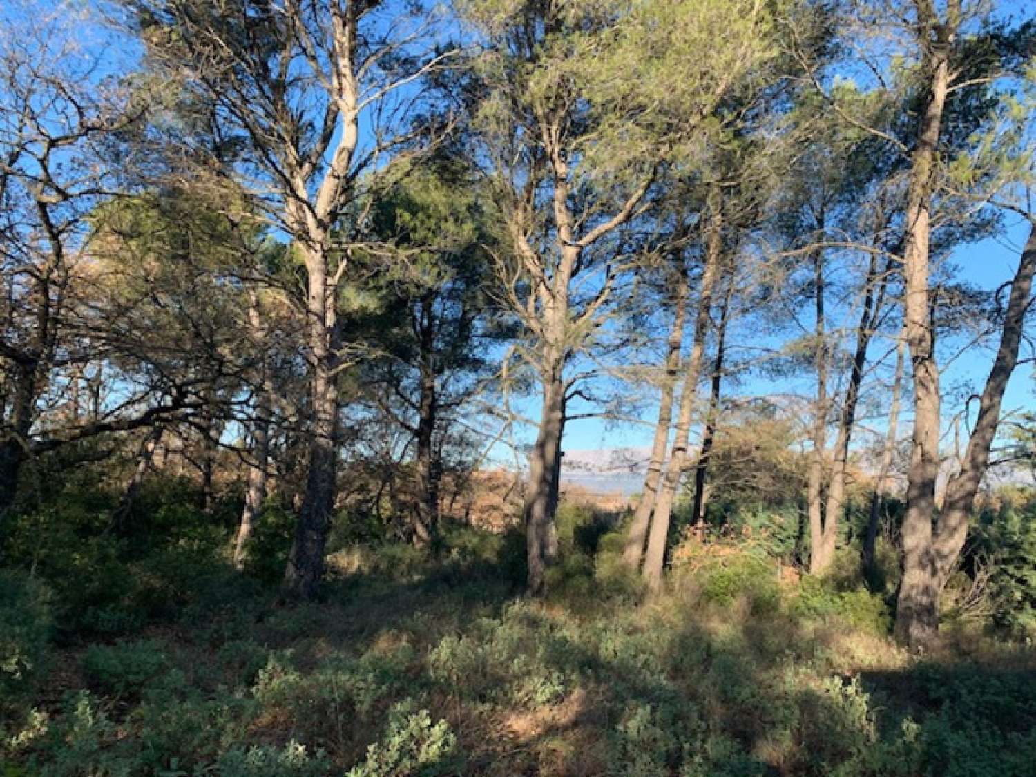  à vendre terrain Trets Bouches-du-Rhône 1
