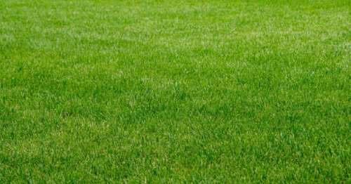 Trévières Calvados terrain foto 7196379