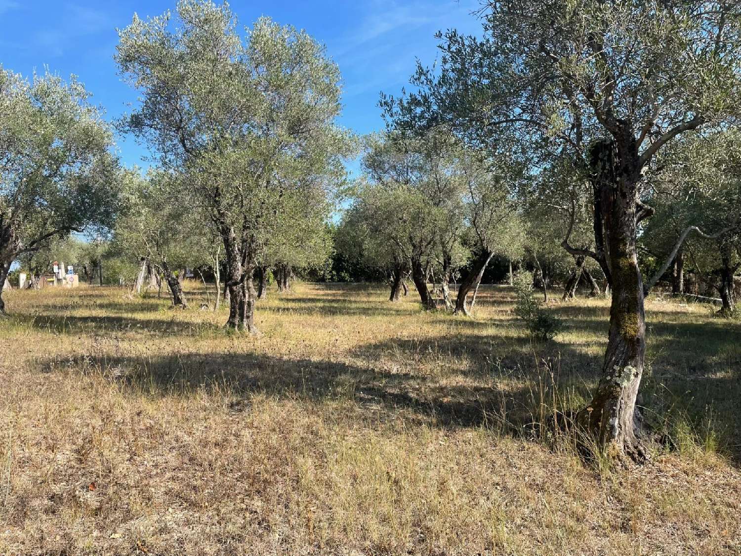te koop terrein Valbonne Alpes-Maritimes 3