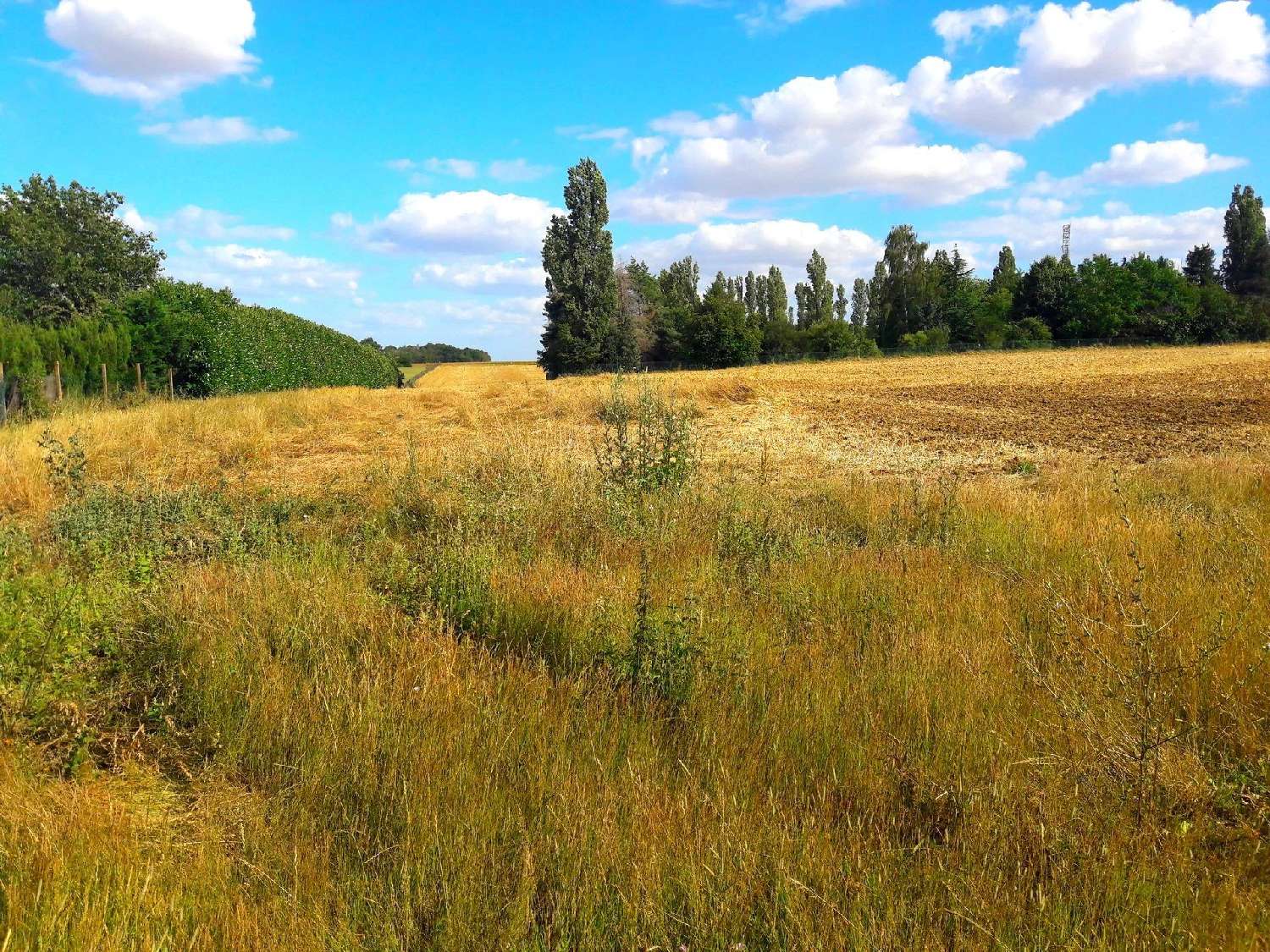 à vendre terrain Vallery Yonne 1