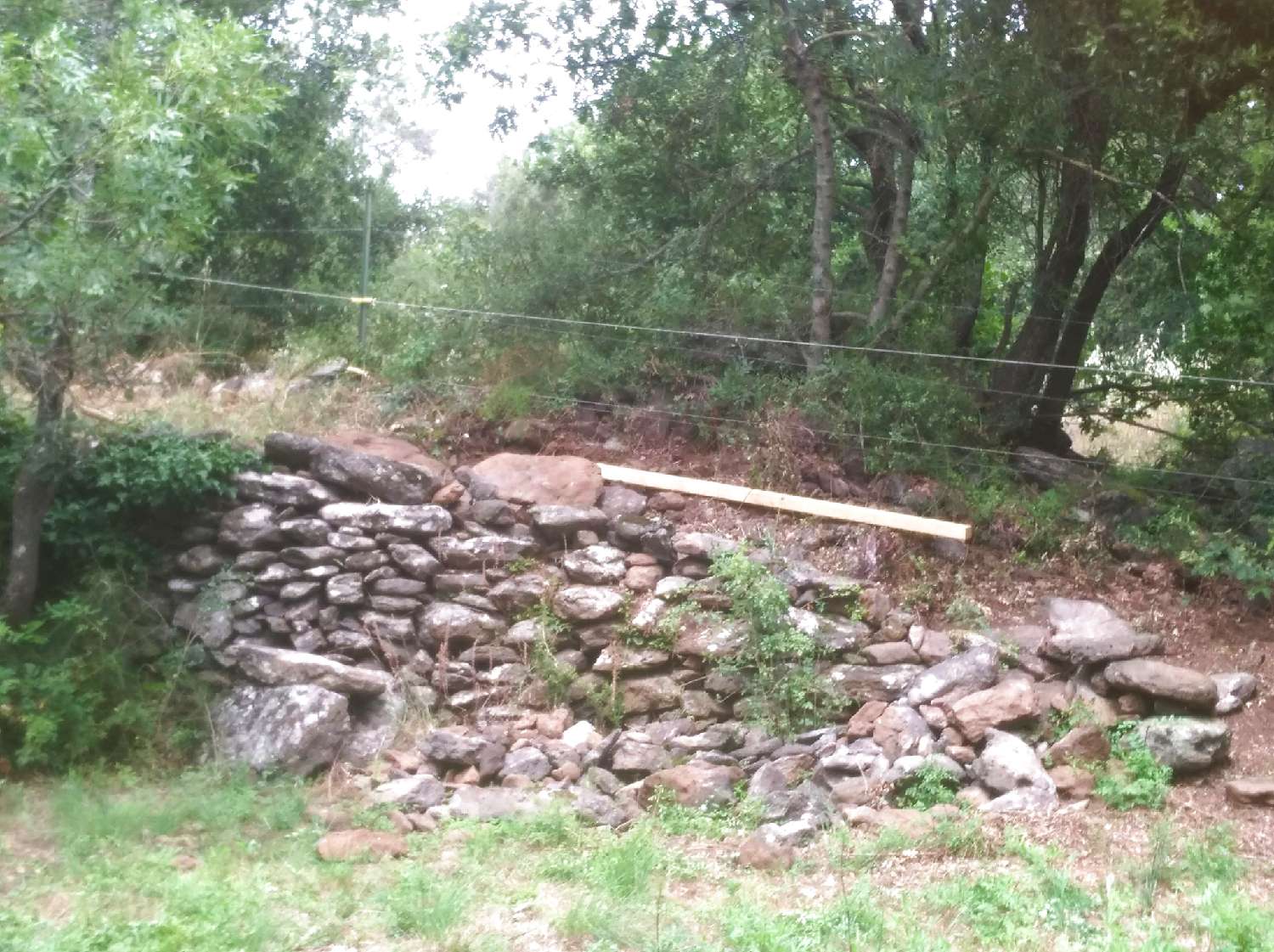  te koop terrein Valmascle Hérault 4