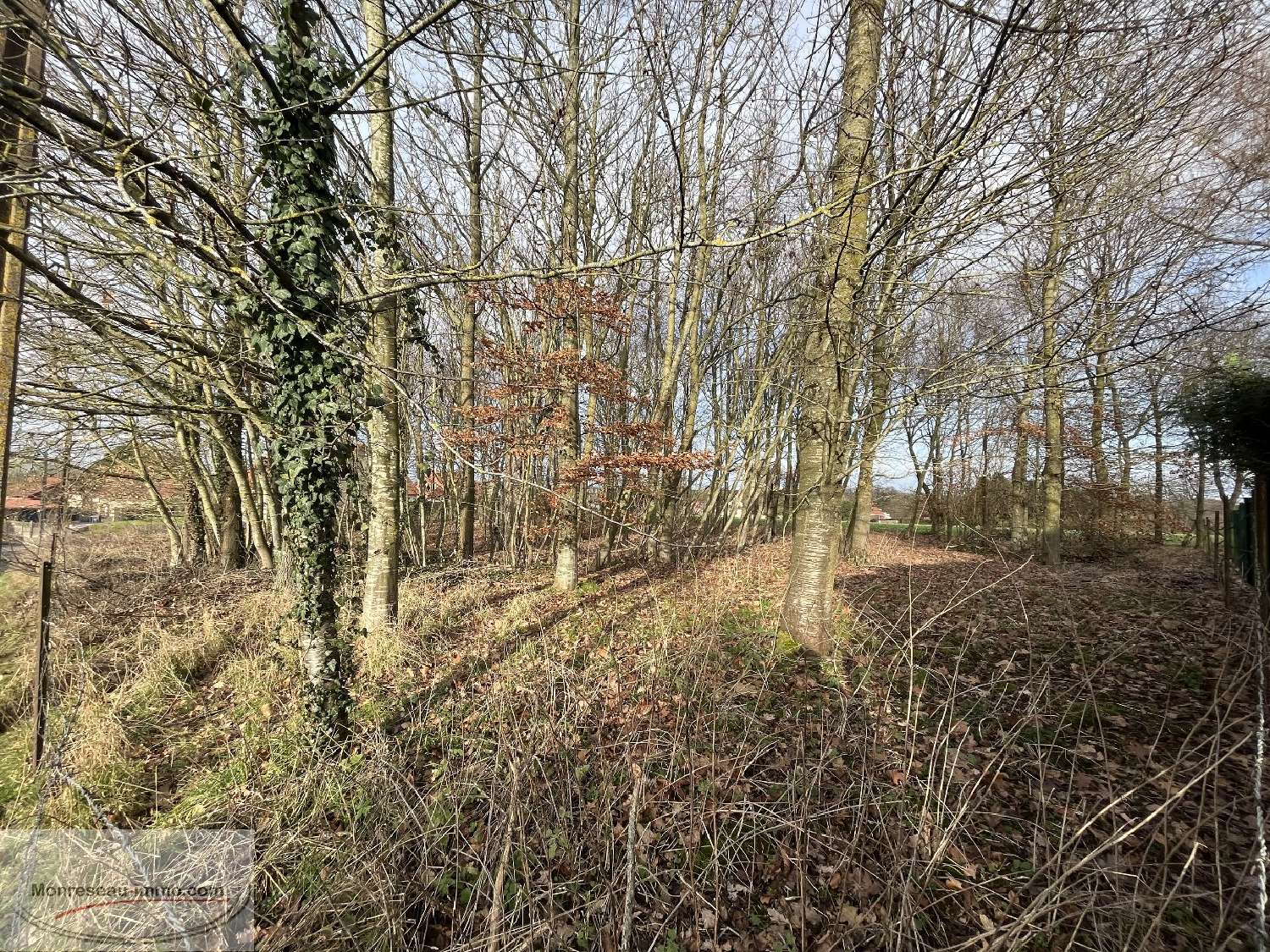 for sale terrain Vendhuile Aisne 1