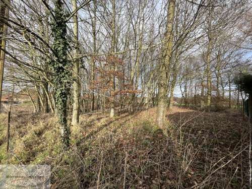 Vendhuile Aisne terrain foto 7174095