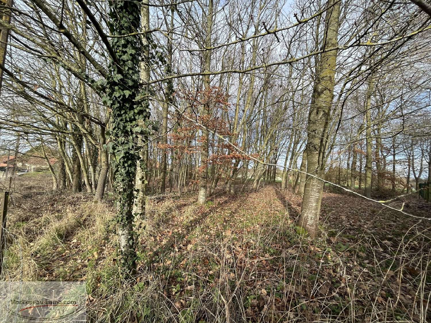 for sale terrain Vendhuile Aisne 3