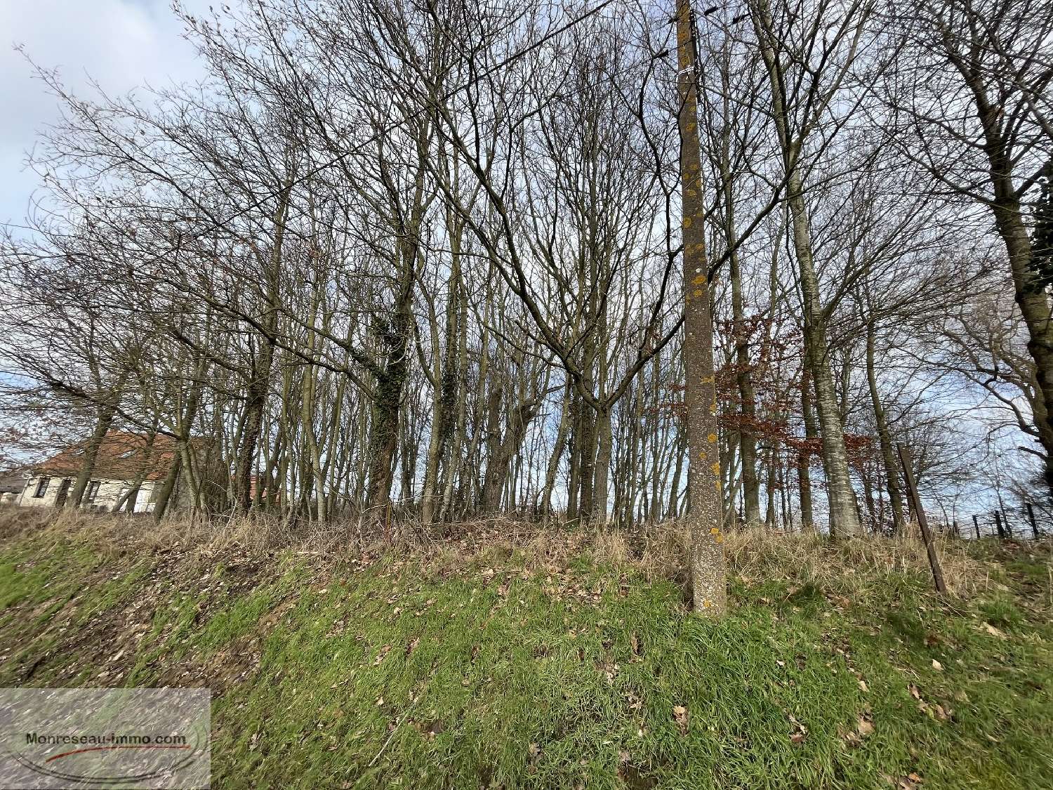 for sale terrain Vendhuile Aisne 4