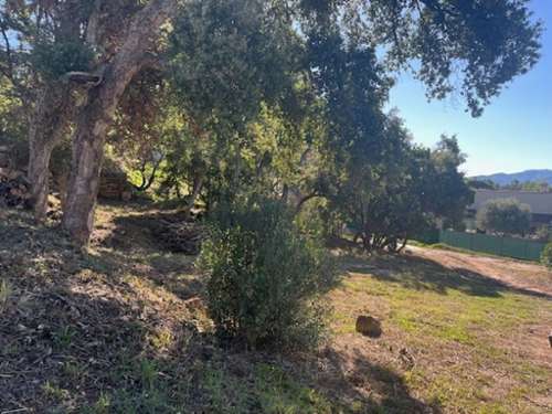 Vidauban Var Grundstück Bild 7196460