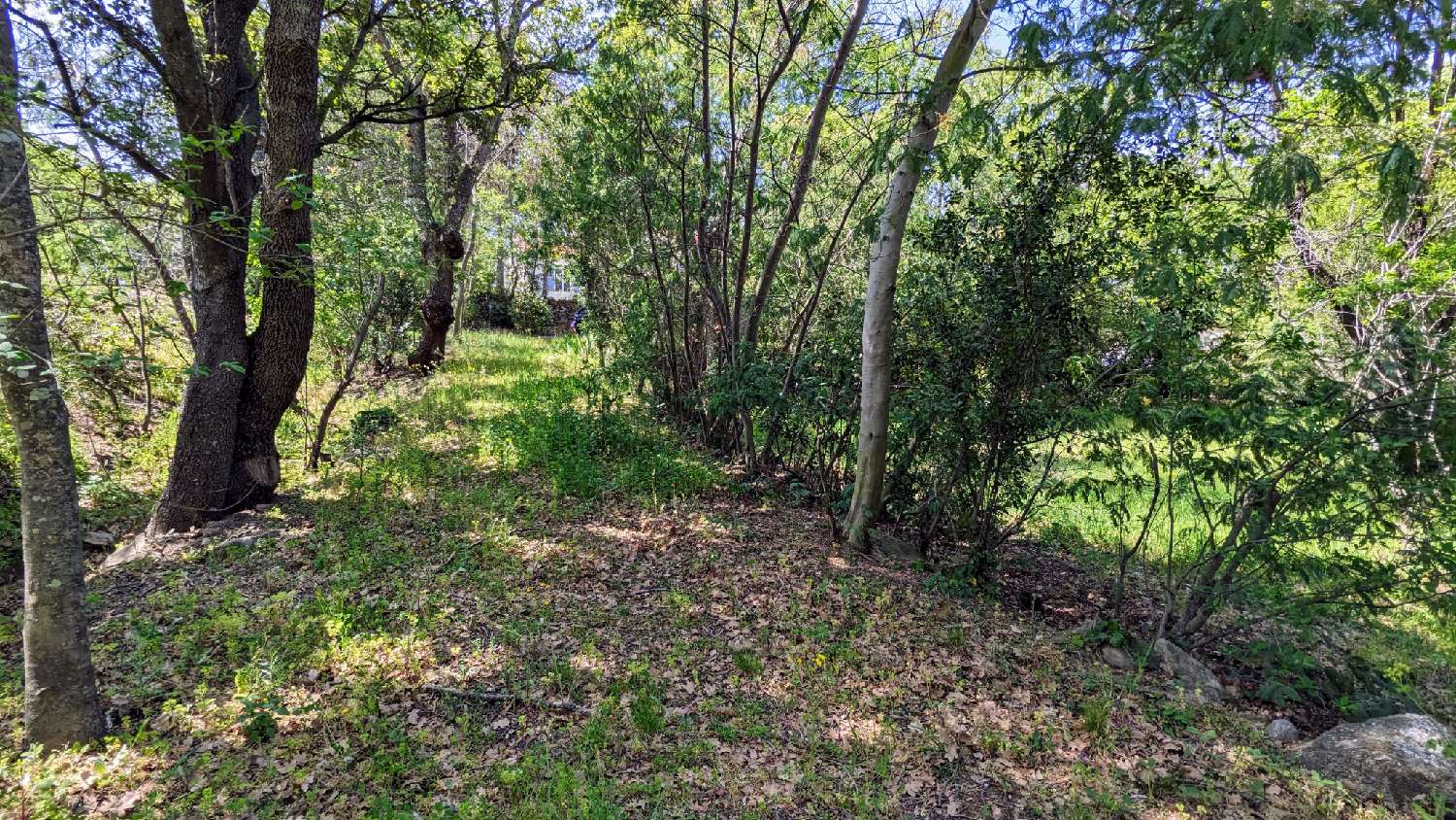 à vendre terrain Villelongue-dels-Monts Pyrénées-Orientales 2