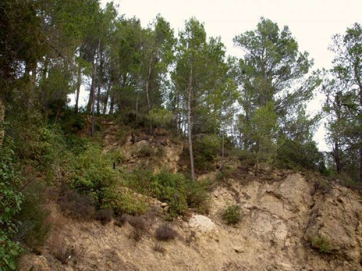 en venta terreno Villesèque-des-Corbières Aude 3