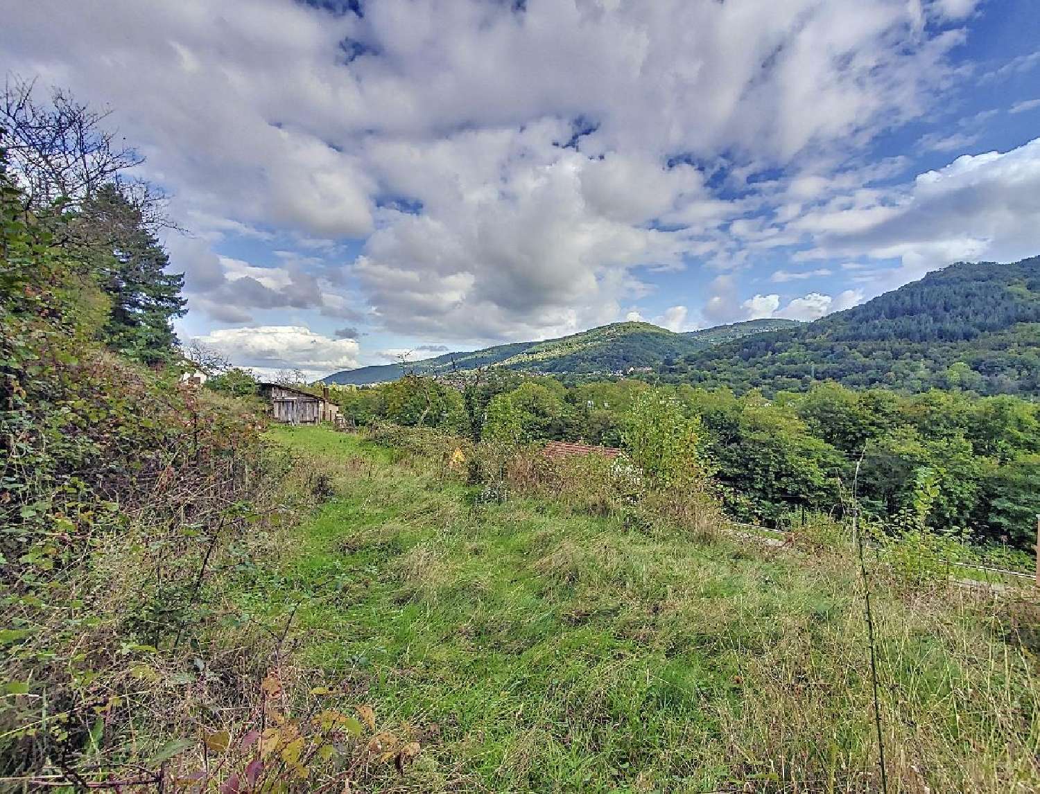 te koop terrein Wisches Bas-Rhin 2