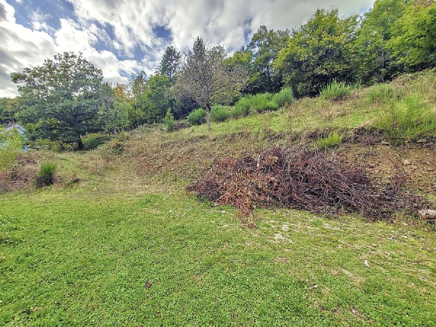 te koop terrein Wisches Bas-Rhin 3