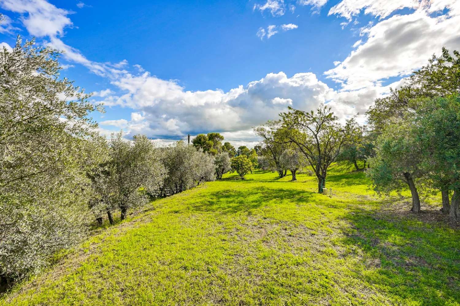 te koop villa Aix-en-Provence Bouches-du-Rhône 2