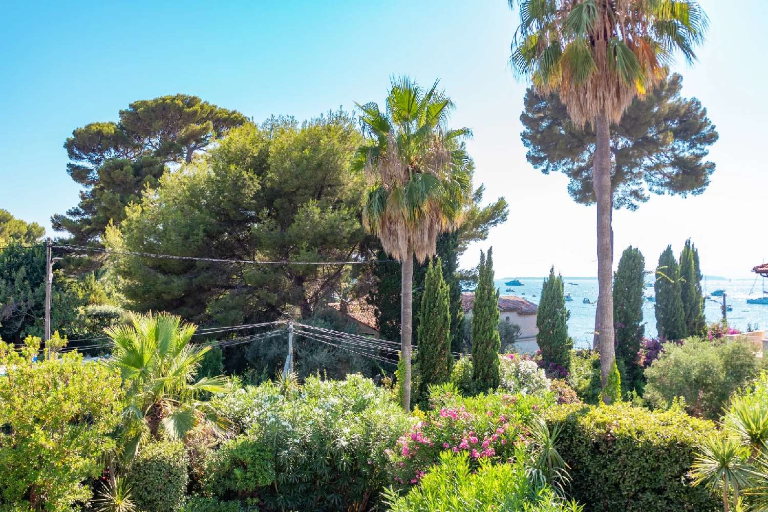  à vendre villa Antibes 06160 Alpes-Maritimes 6