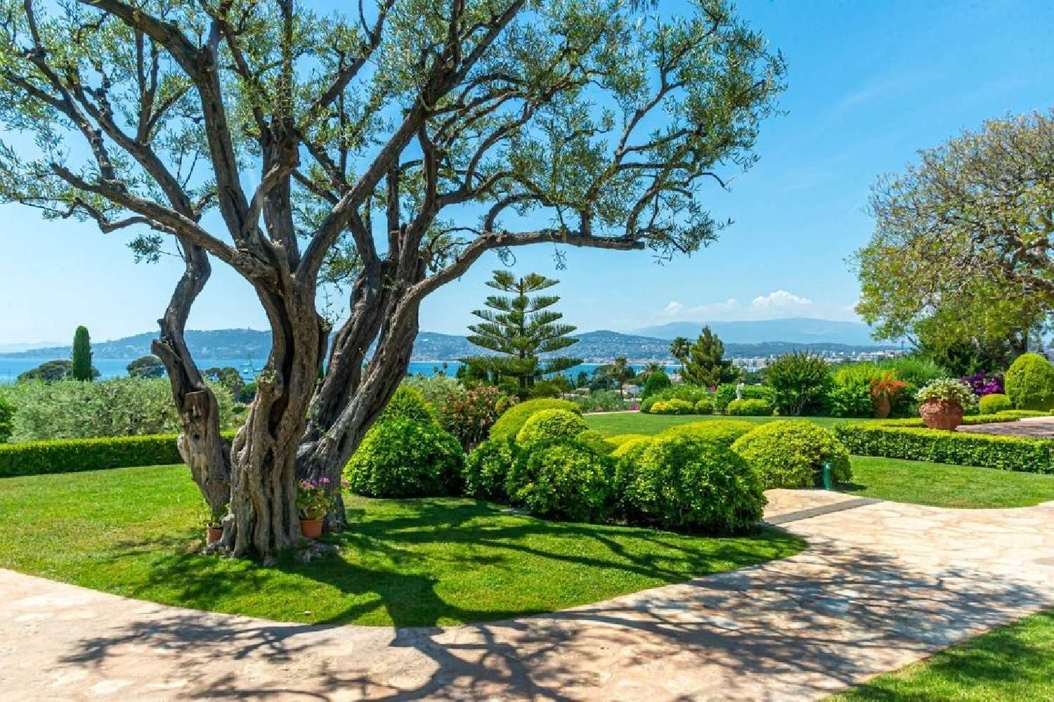  te koop villa Antibes Alpes-Maritimes 7