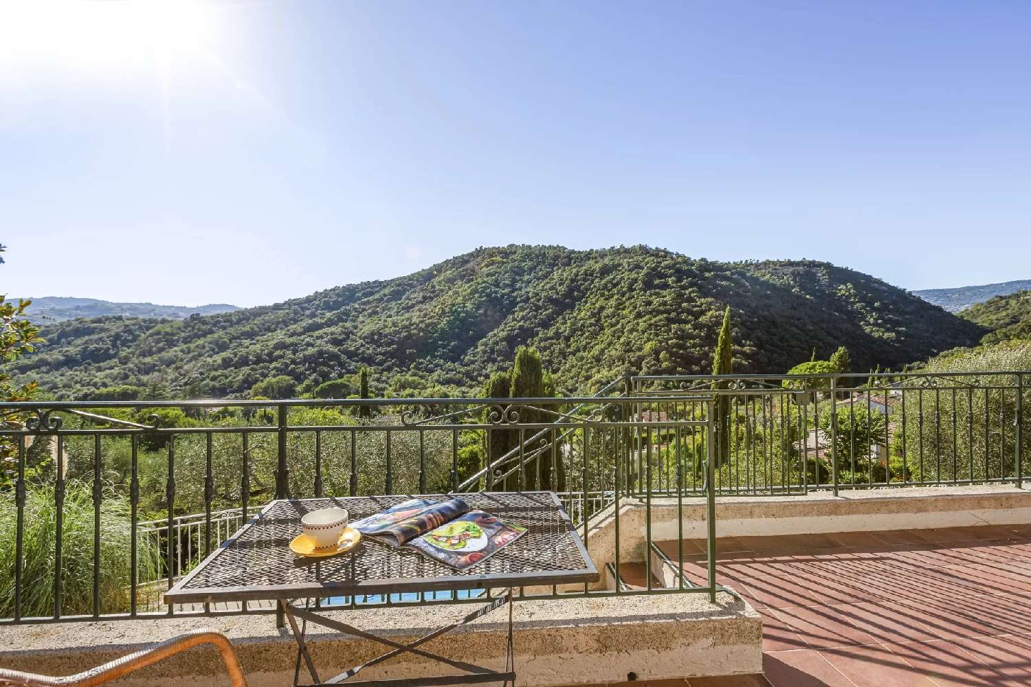 te koop villa Auribeau-sur-Siagne Alpes-Maritimes 3