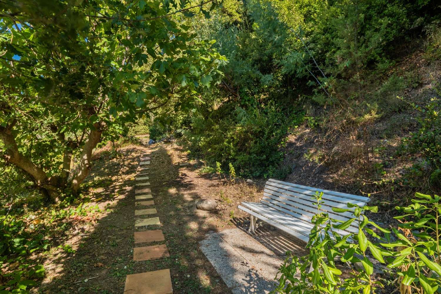  te koop villa Biot Alpes-Maritimes 6