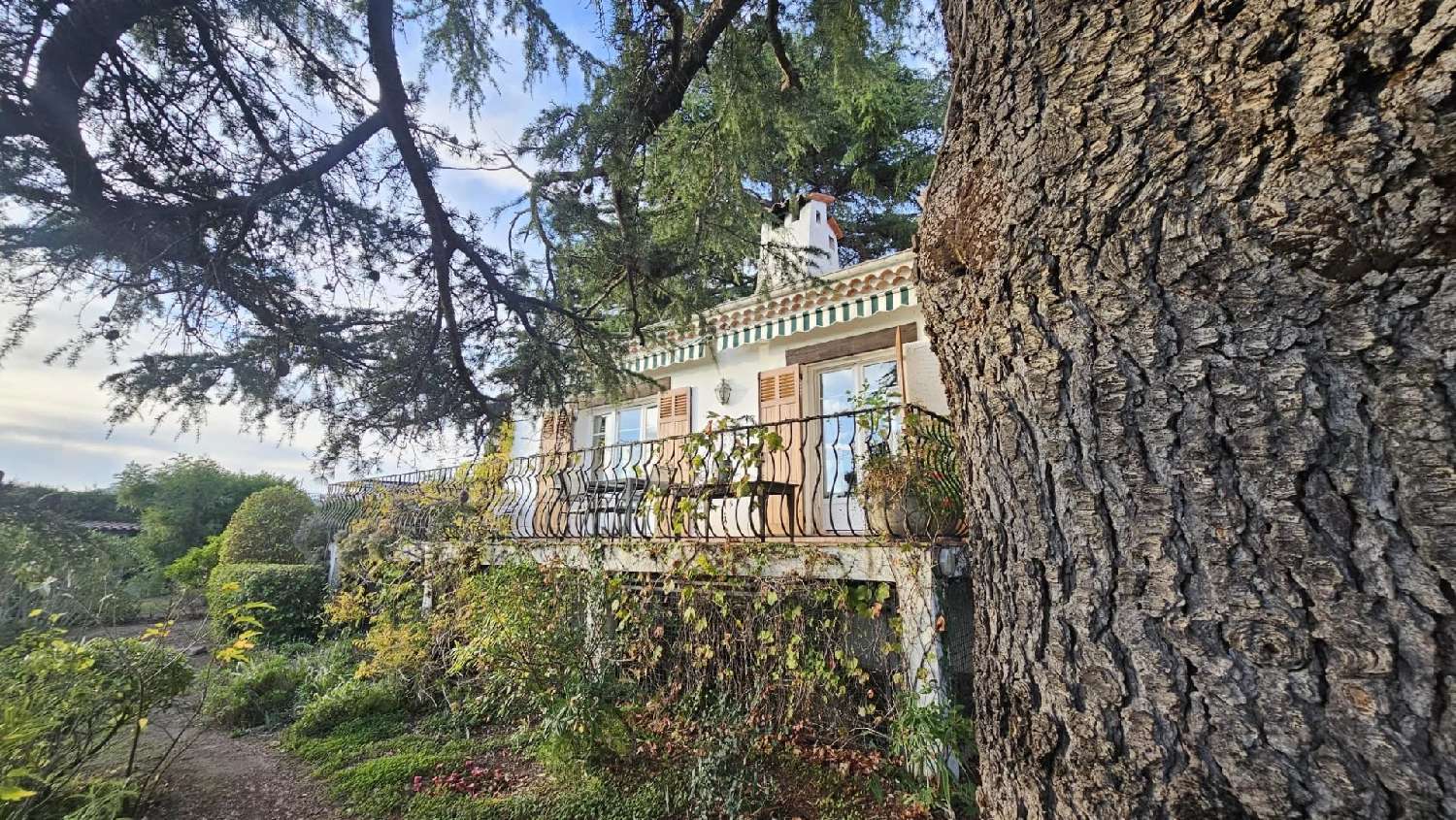 te koop villa Cannes Alpes-Maritimes 4