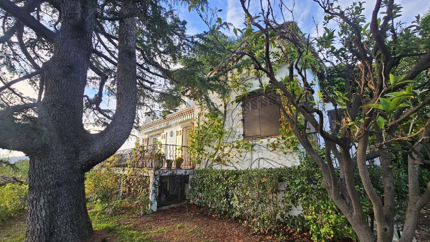 te koop villa Cannes Alpes-Maritimes 5