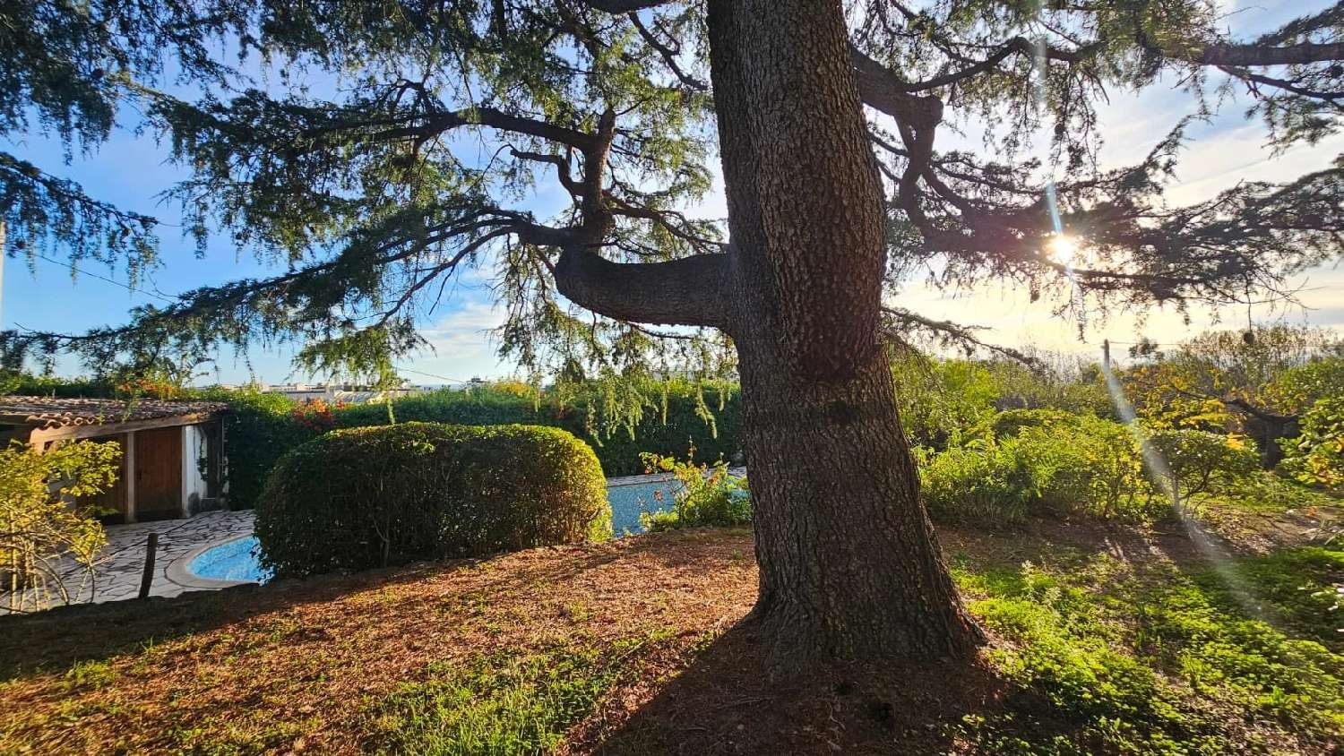 te koop villa Cannes Alpes-Maritimes 6