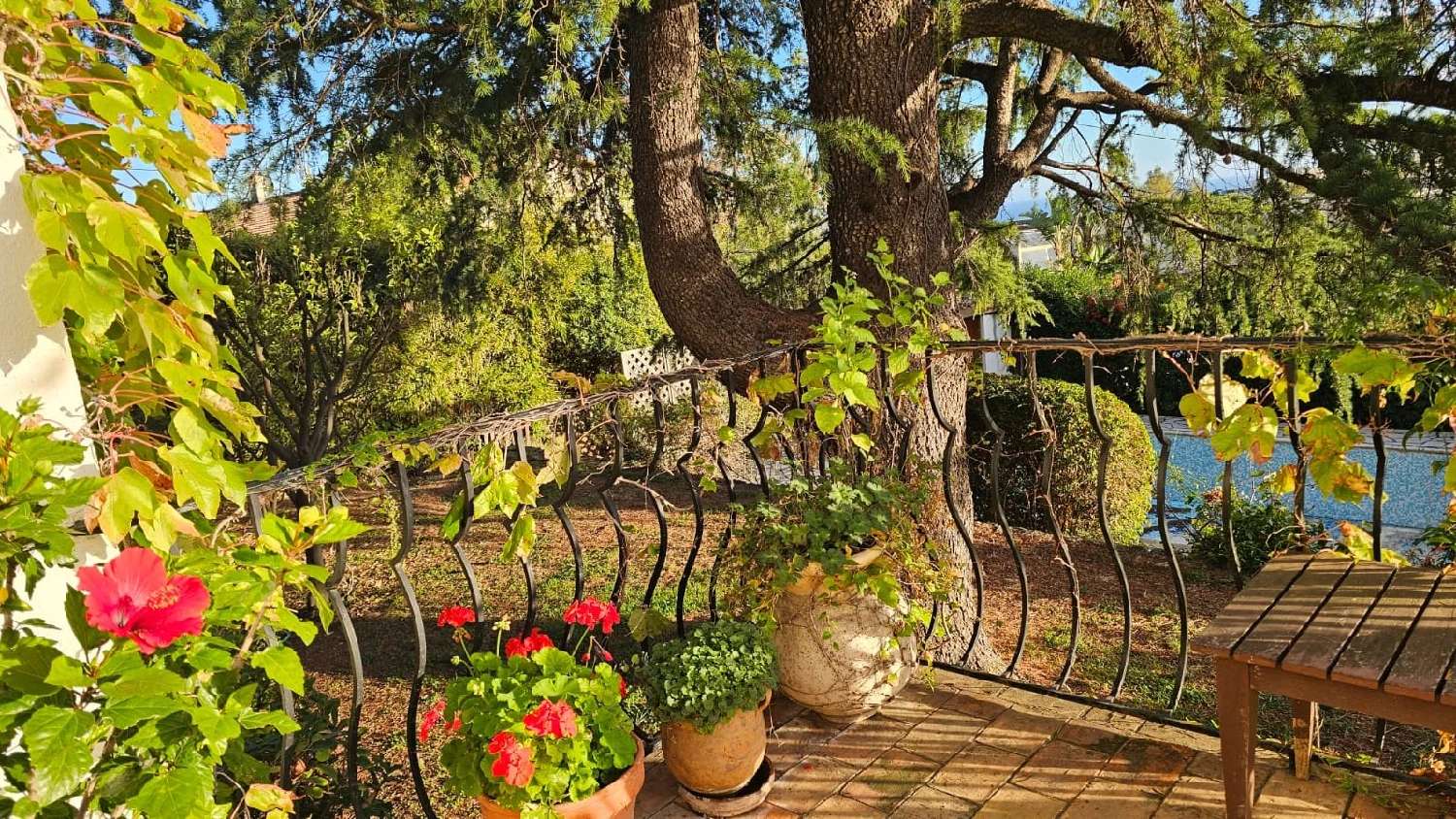 te koop villa Cannes Alpes-Maritimes 8