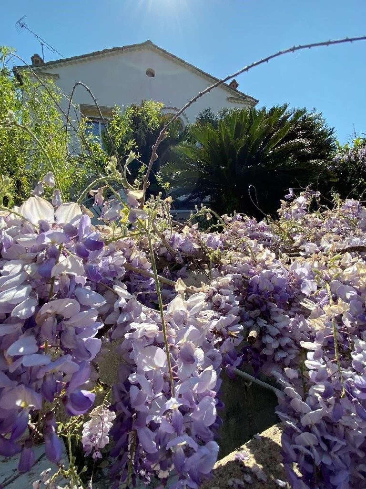  en venta villa Cannes Alpes-Maritimes 6