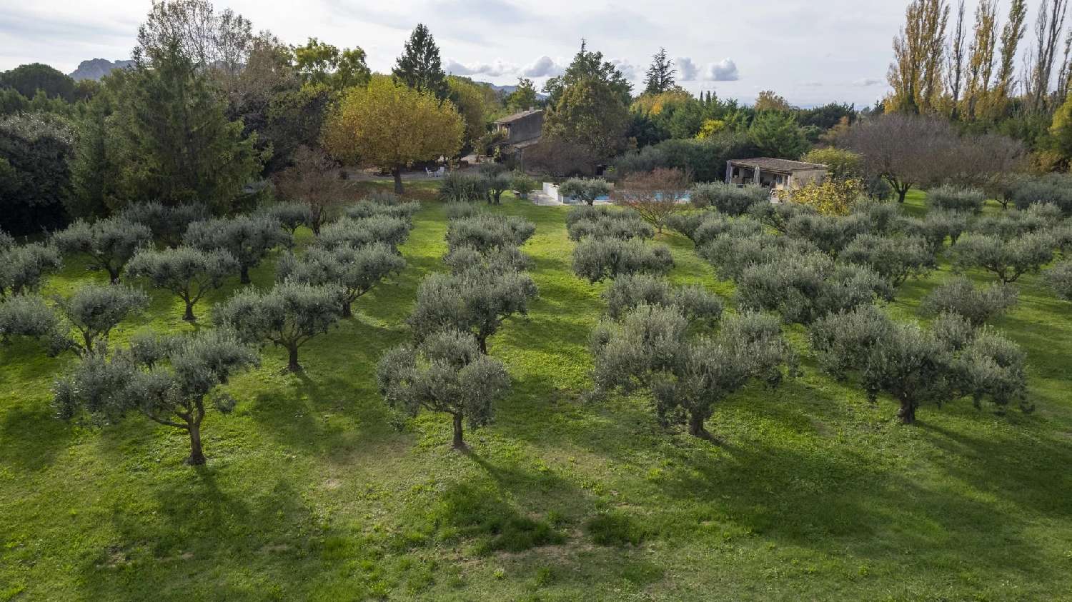 te koop villa Eygalières Bouches-du-Rhône 5