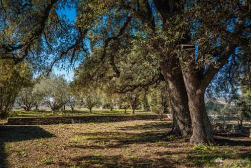 Gordes Vaucluse Villa Bild 7185877