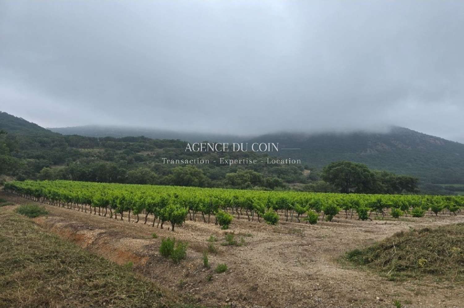 à vendre villa Grimaud Var 1