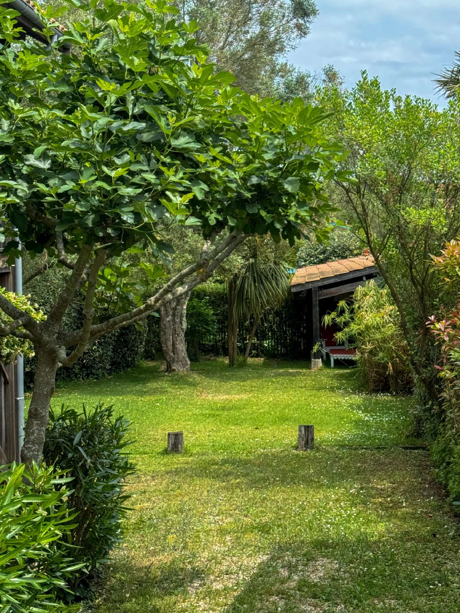  te koop villa La Teste-de-Buch Gironde 2