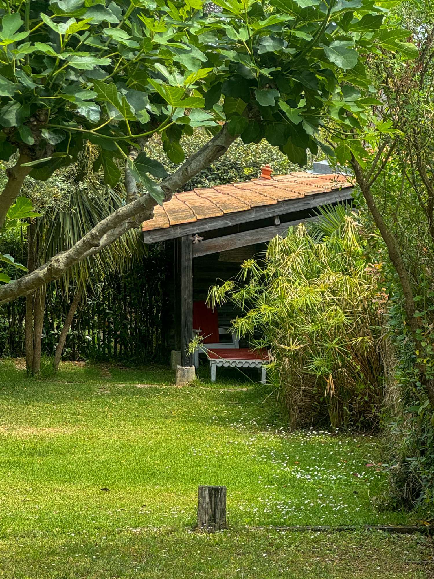  te koop villa La Teste-de-Buch Gironde 4